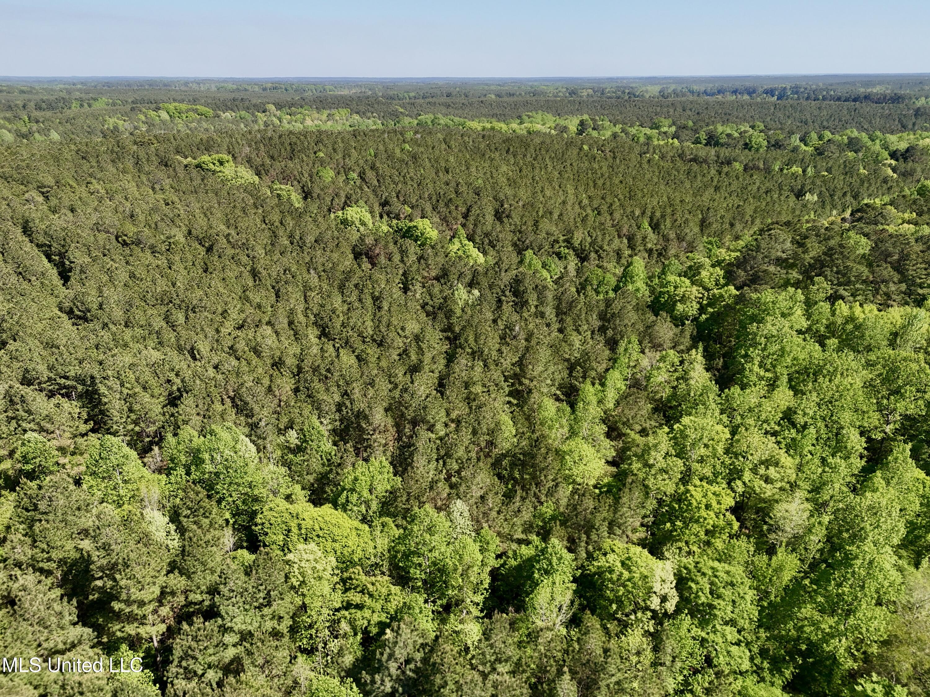 1131 Cauthen Road Camden, MS 39045 - Photo 20 of 53 110C6B32-67A4-49EE-AD4C-802ECF31C023