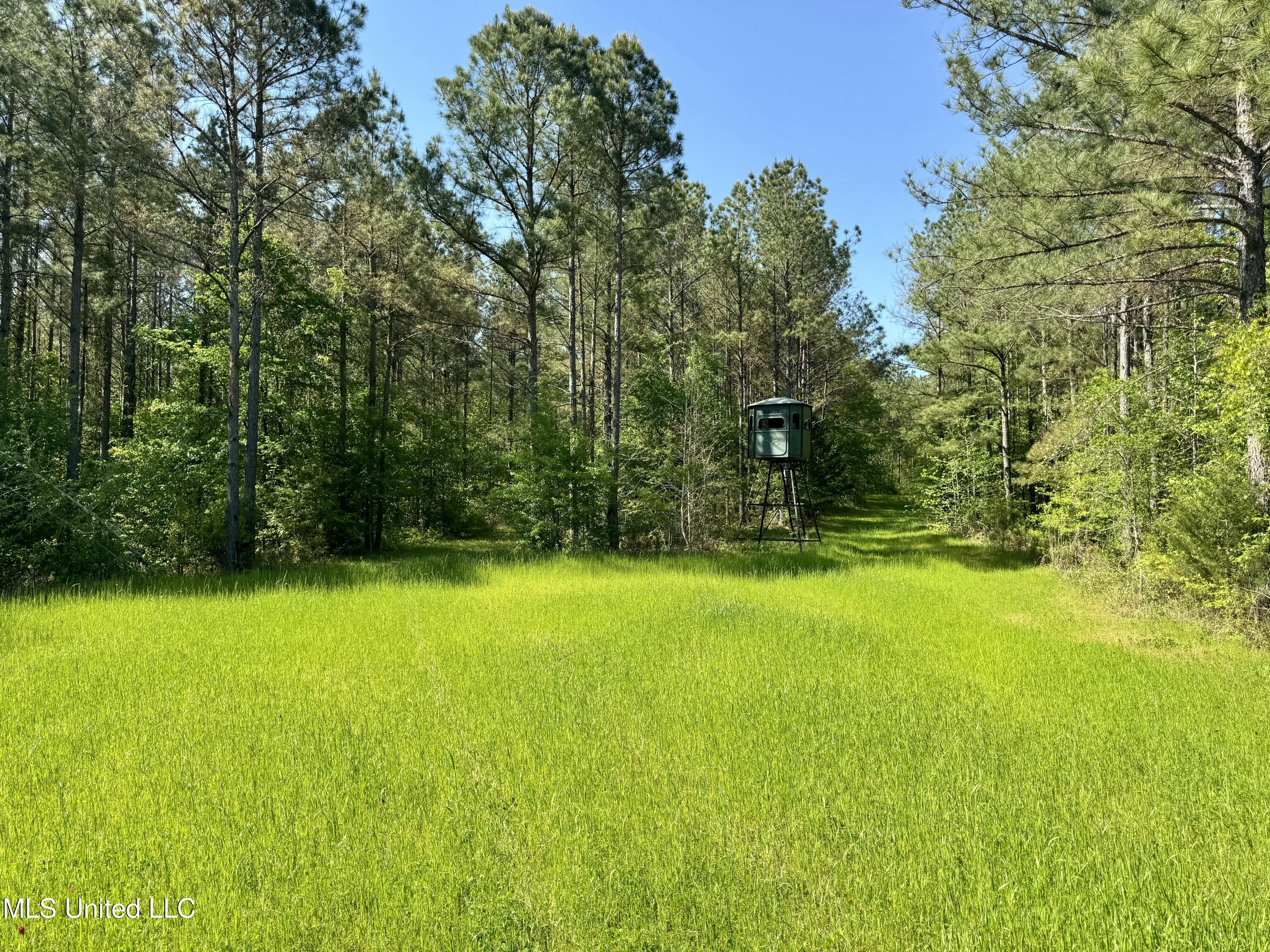 1131 Cauthen Road Camden, MS 39045 - Photo 21 of 53 15AD6358-DFA8-46D0-8415-BD093B2506EC