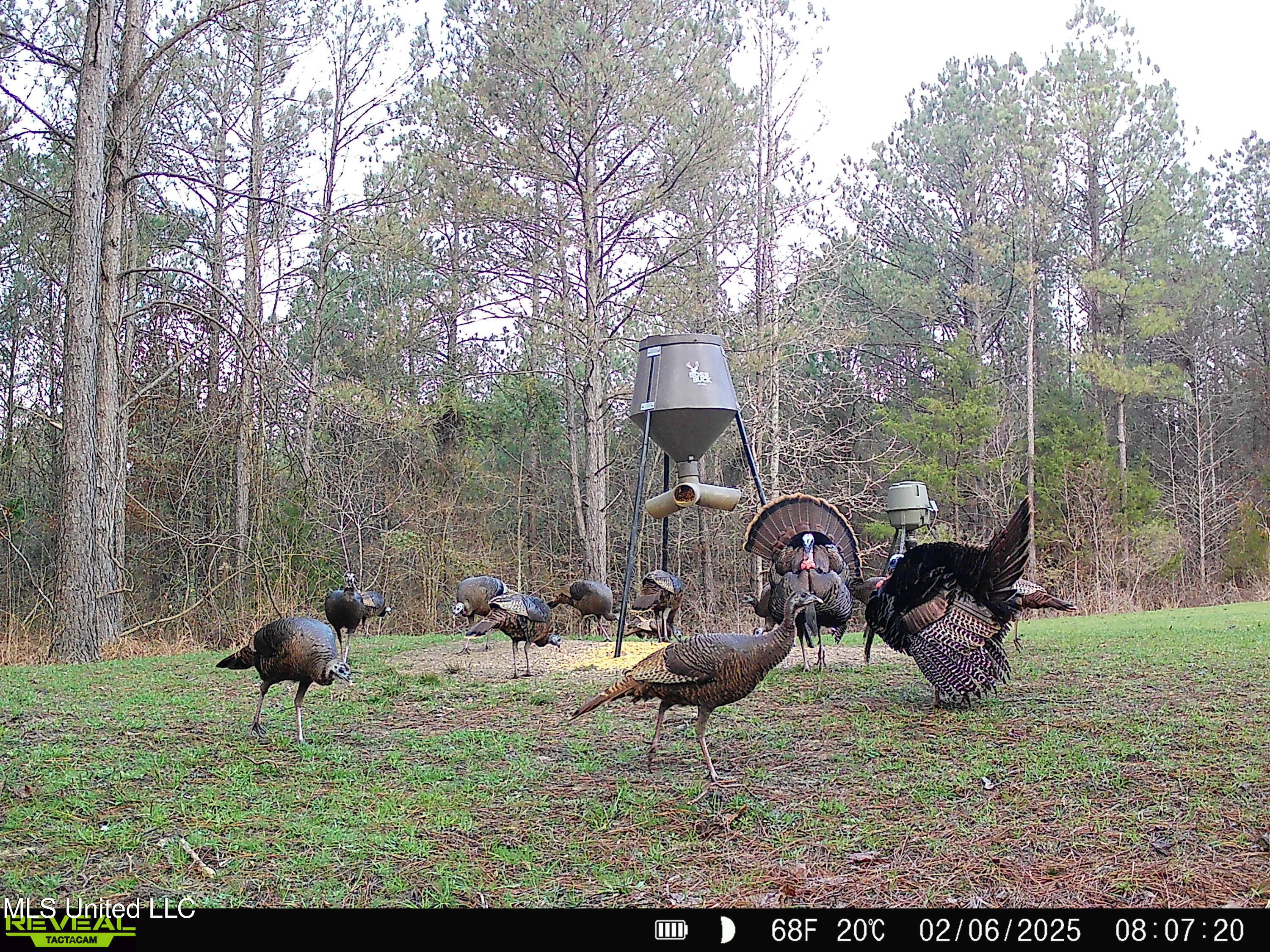 1131 Cauthen Road Camden, MS 39045 - Photo 22 of 53 BDFA0B8B-39F4-4ED5-BC4D-19E566C1E8AE