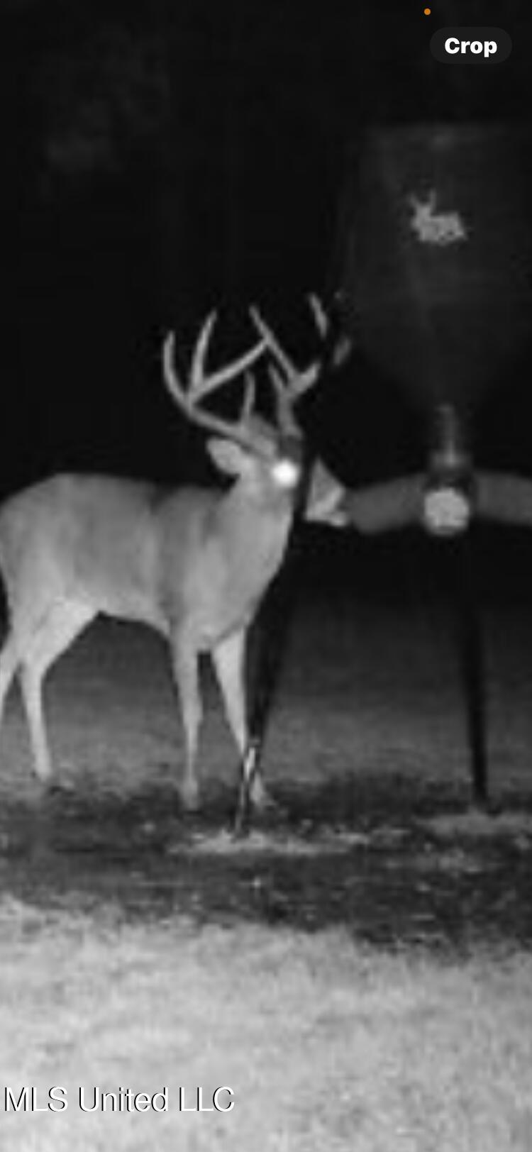 1131 Cauthen Road Camden, MS 39045 - Photo 23 of 53 AB6EA3F2-475E-439D-B79F-178F9400689B