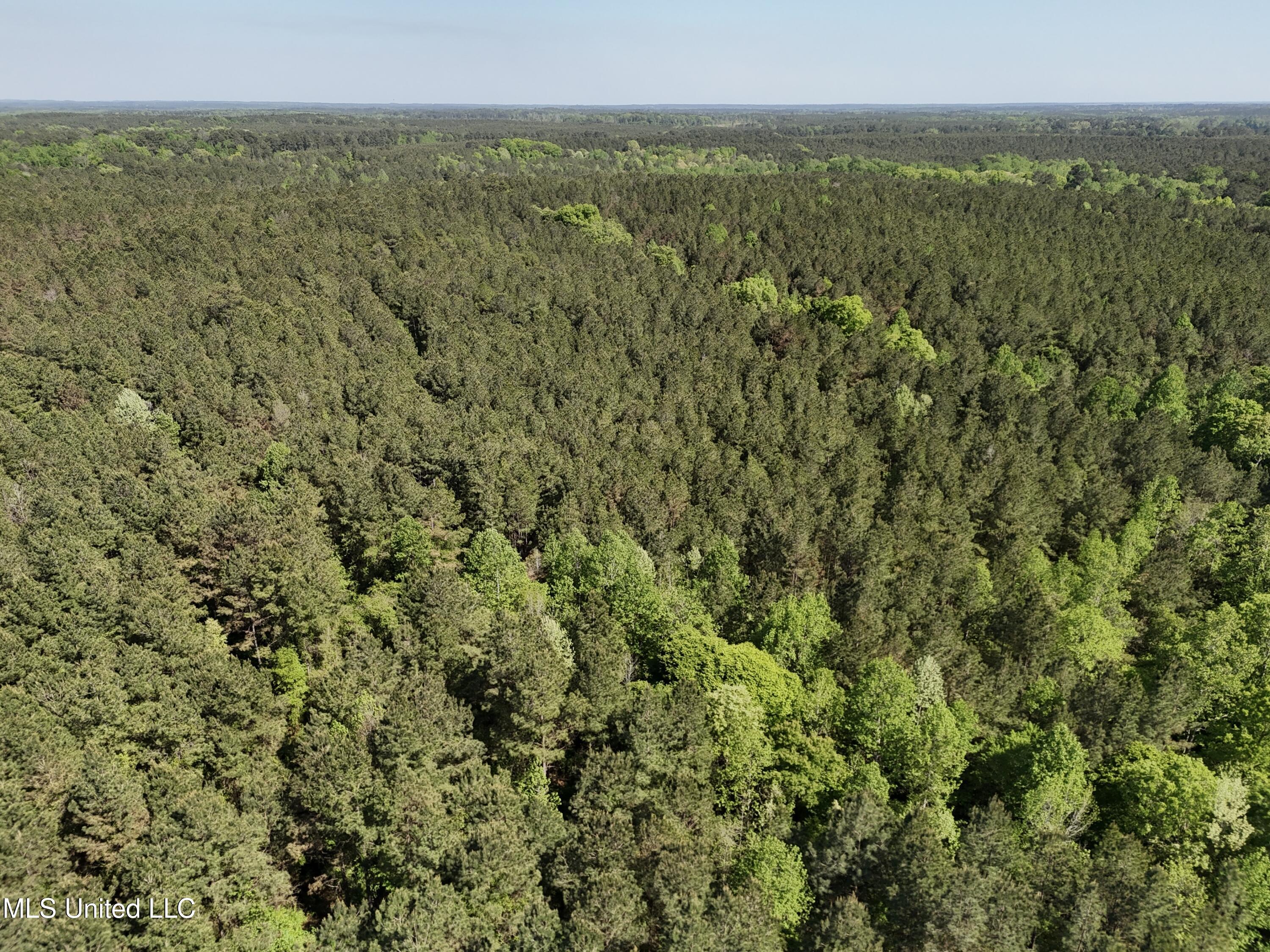 1131 Cauthen Road Camden, MS 39045 - Photo 24 of 53 93F2E0D7-A373-48F0-9F4C-3C15198C8241
