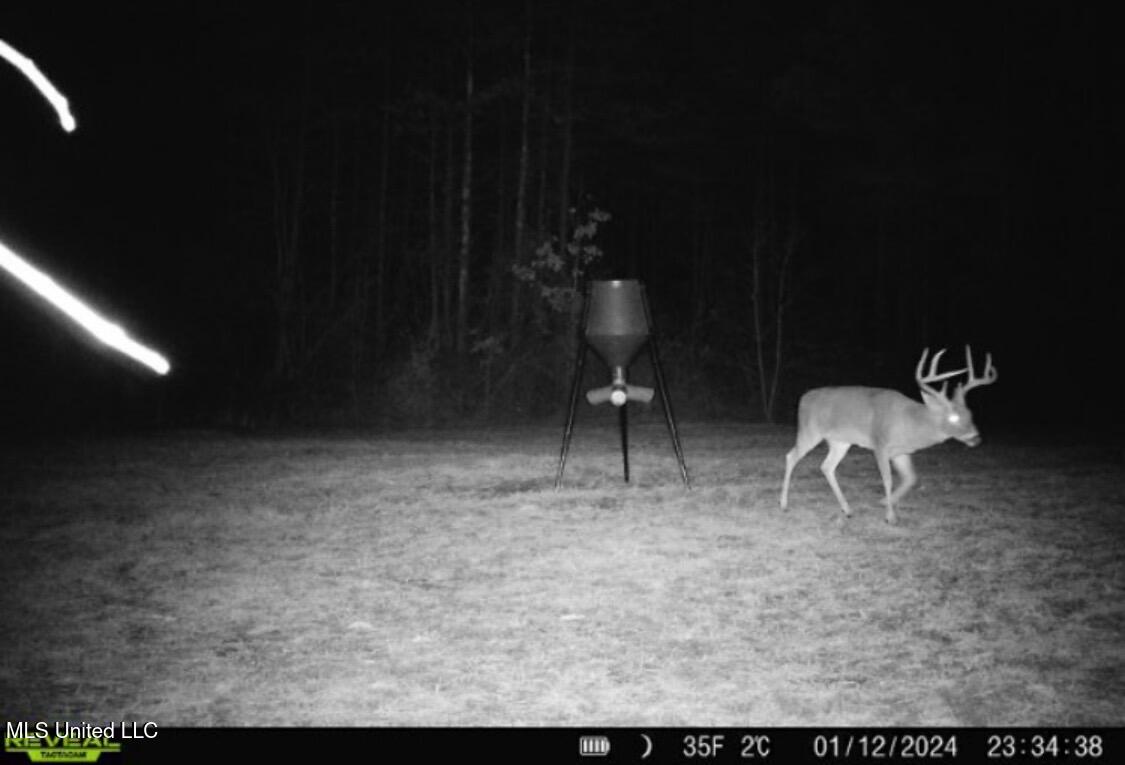 1131 Cauthen Road Camden, MS 39045 - Photo 25 of 53 IMG_9526