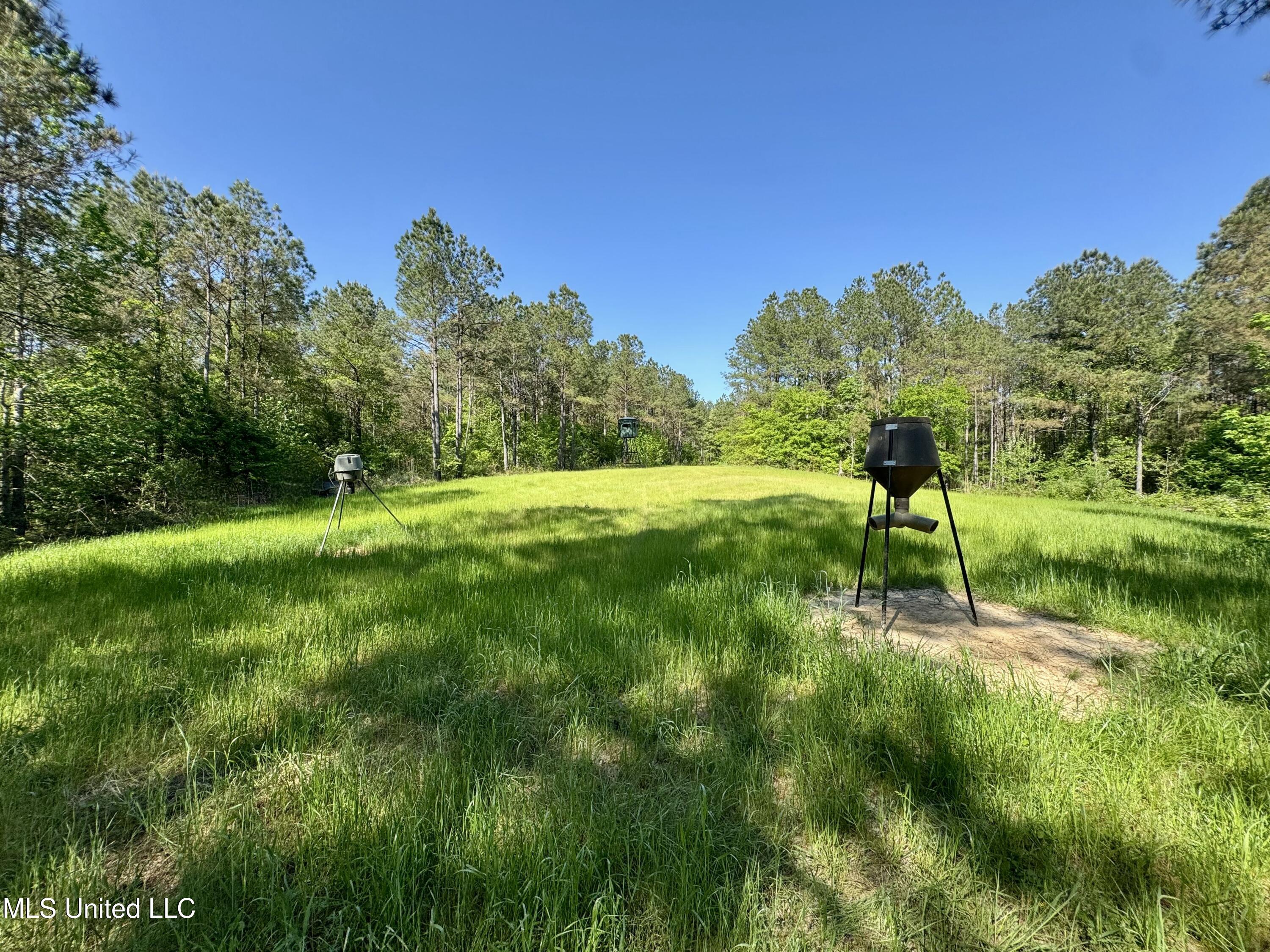 1131 Cauthen Road Camden, MS 39045 - Photo 26 of 53 D663C775-F3E0-495C-BAA6-D000676A5B31
