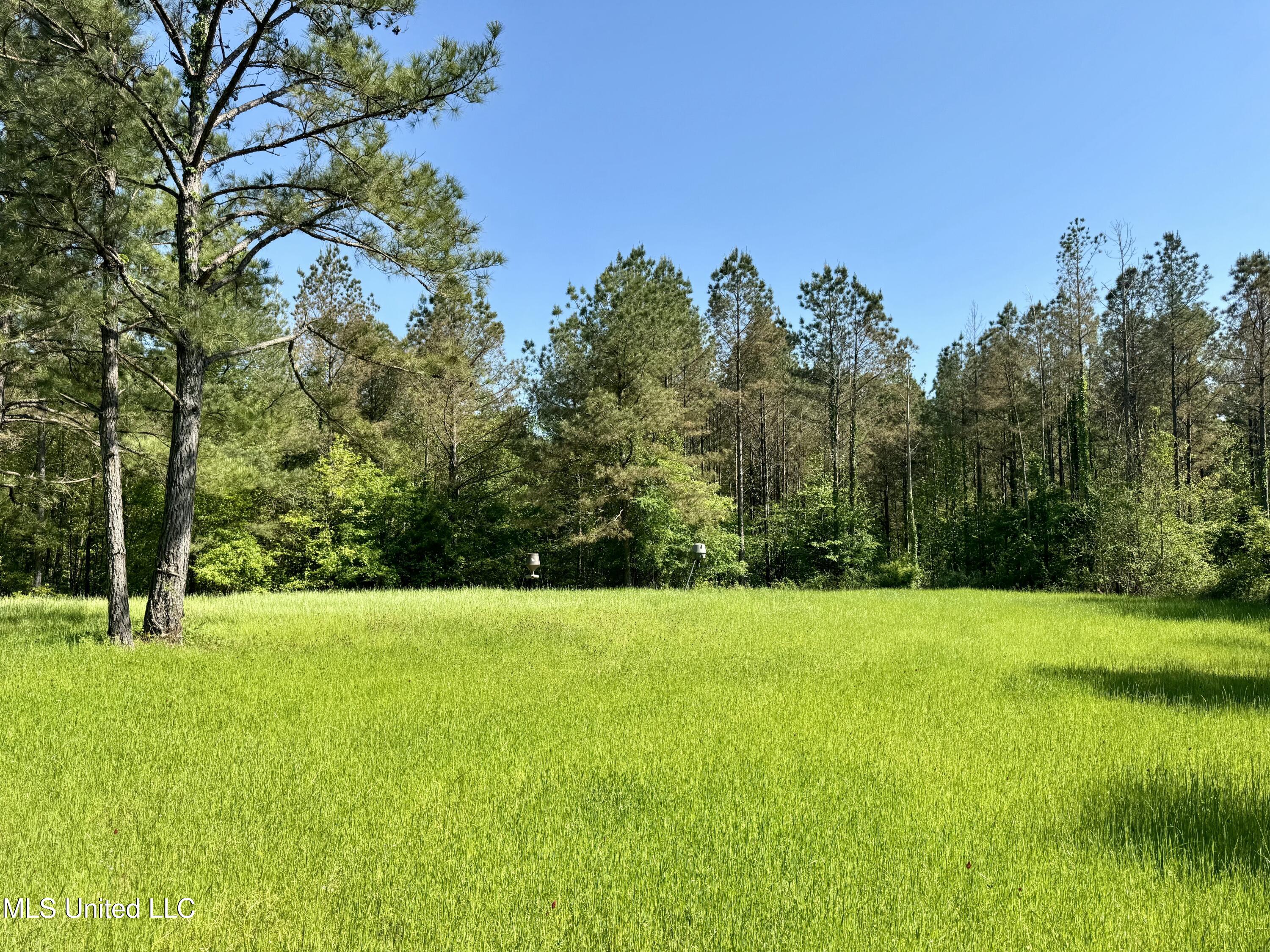 1131 Cauthen Road Camden, MS 39045 - Photo 28 of 53 5C992885-24AA-4159-AA83-E33469920FC1