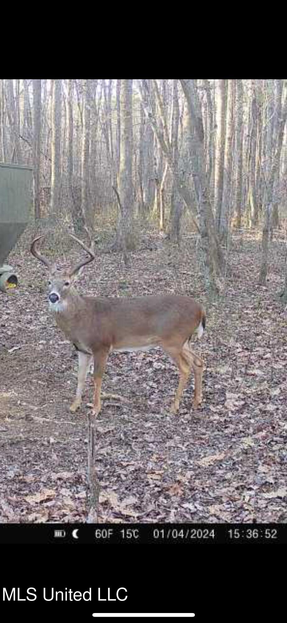 1131 Cauthen Road Camden, MS 39045 - Photo 30 of 53 IMG_5989