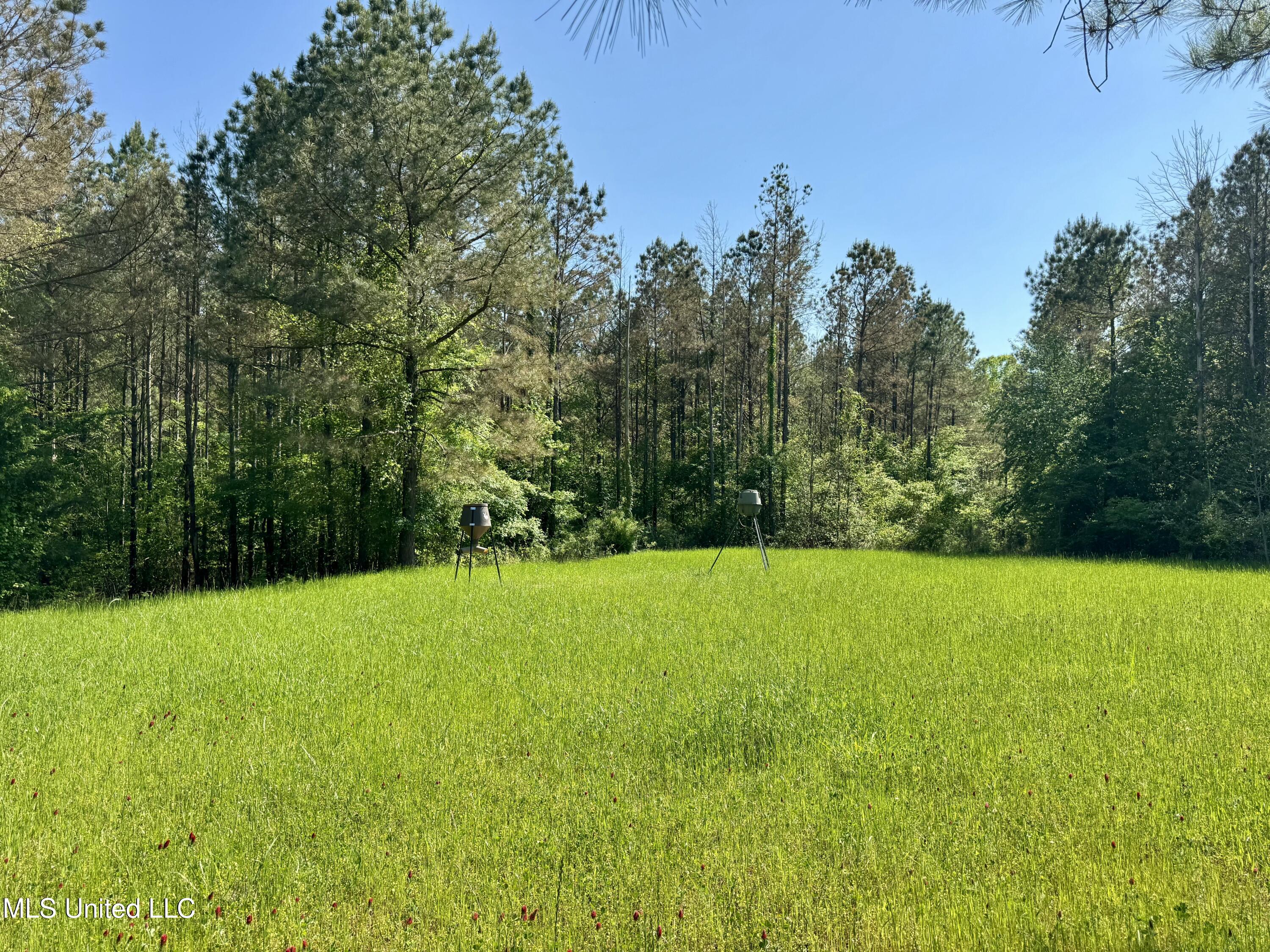 1131 Cauthen Road Camden, MS 39045 - Photo 31 of 53 364C275B-2D59-4A3F-9541-28E5DC333A64