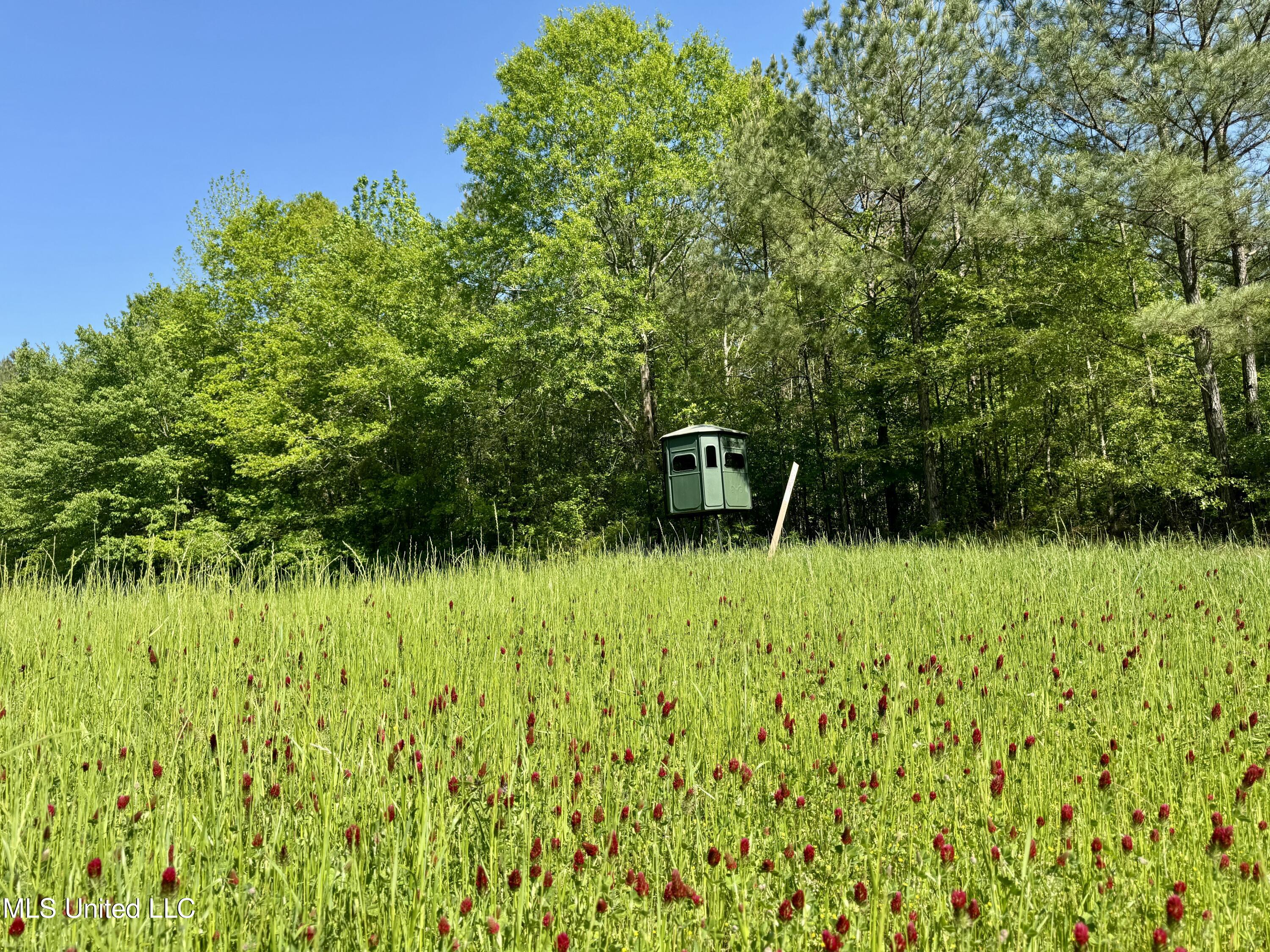 1131 Cauthen Road Camden, MS 39045 - Photo 36 of 53 022DCF07-8EDA-4969-B82D-AA019A767D4D