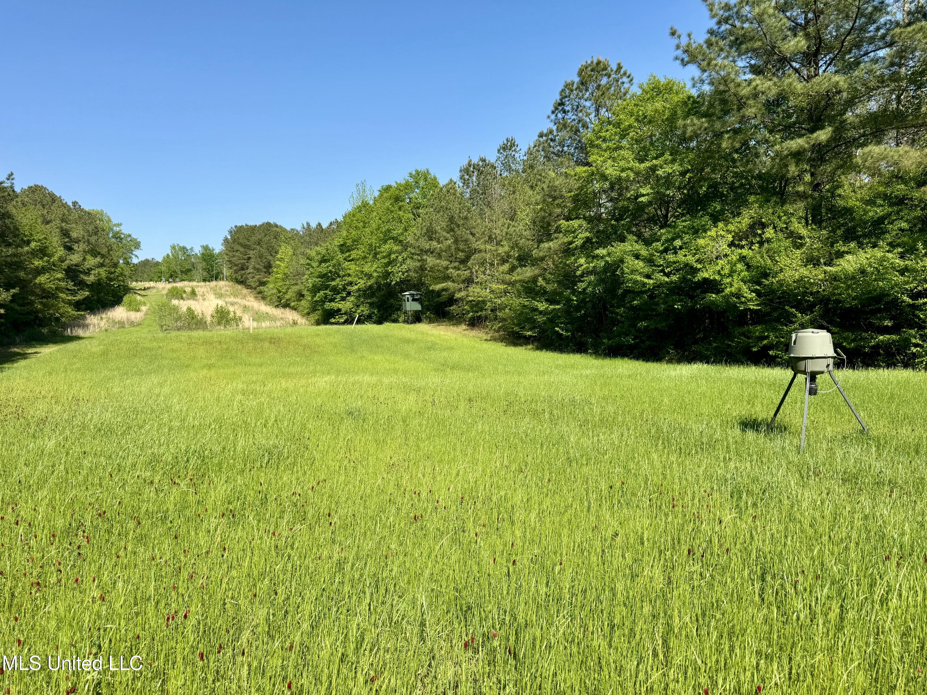 1131 Cauthen Road Camden, MS 39045 - Photo 37 of 53 17687C79-C333-4A1A-A415-15761B27CE4E