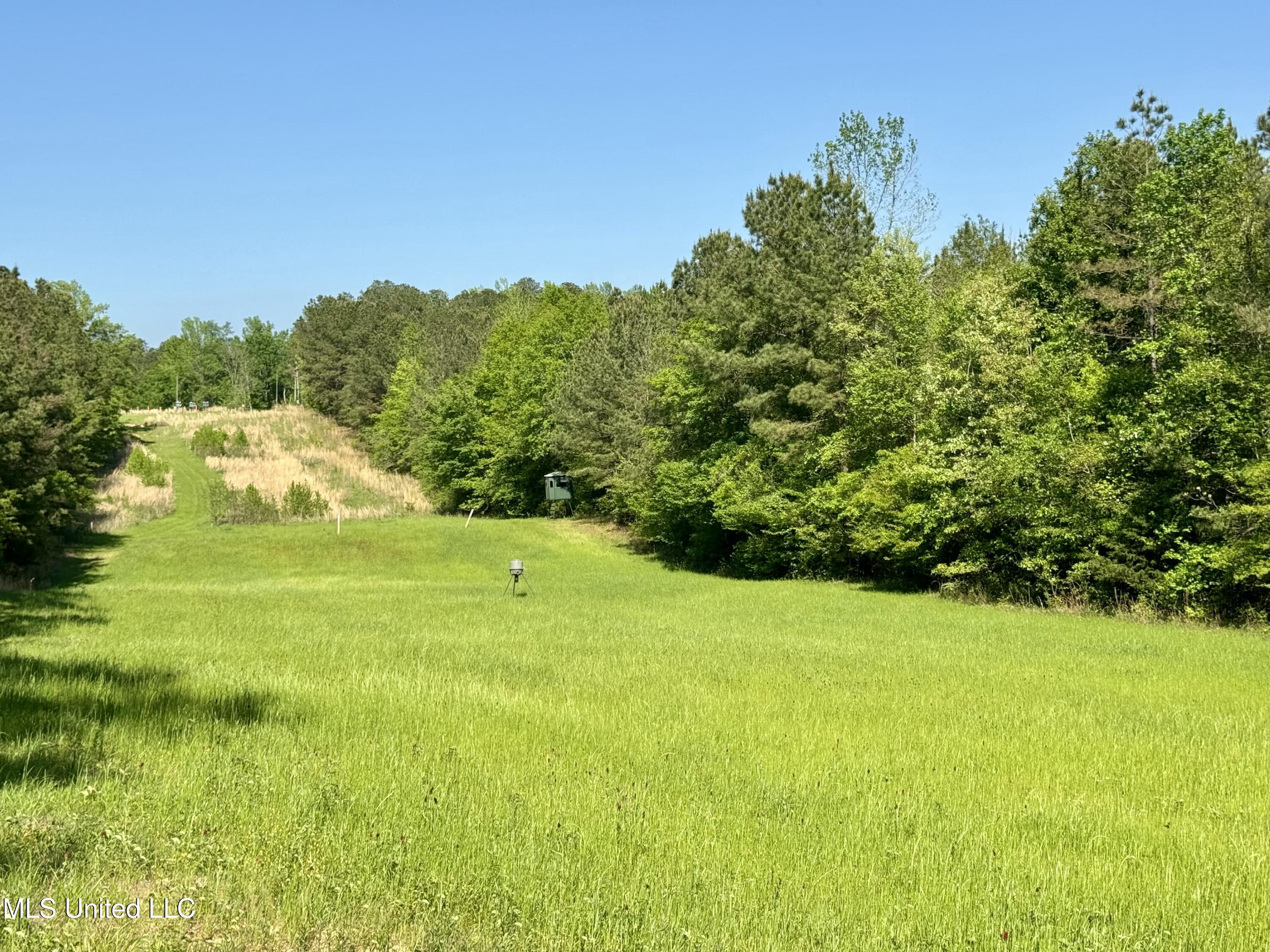 1131 Cauthen Road Camden, MS 39045 - Photo 38 of 53 FE0C2BDE-C71C-4715-922E-127B1702D7B3