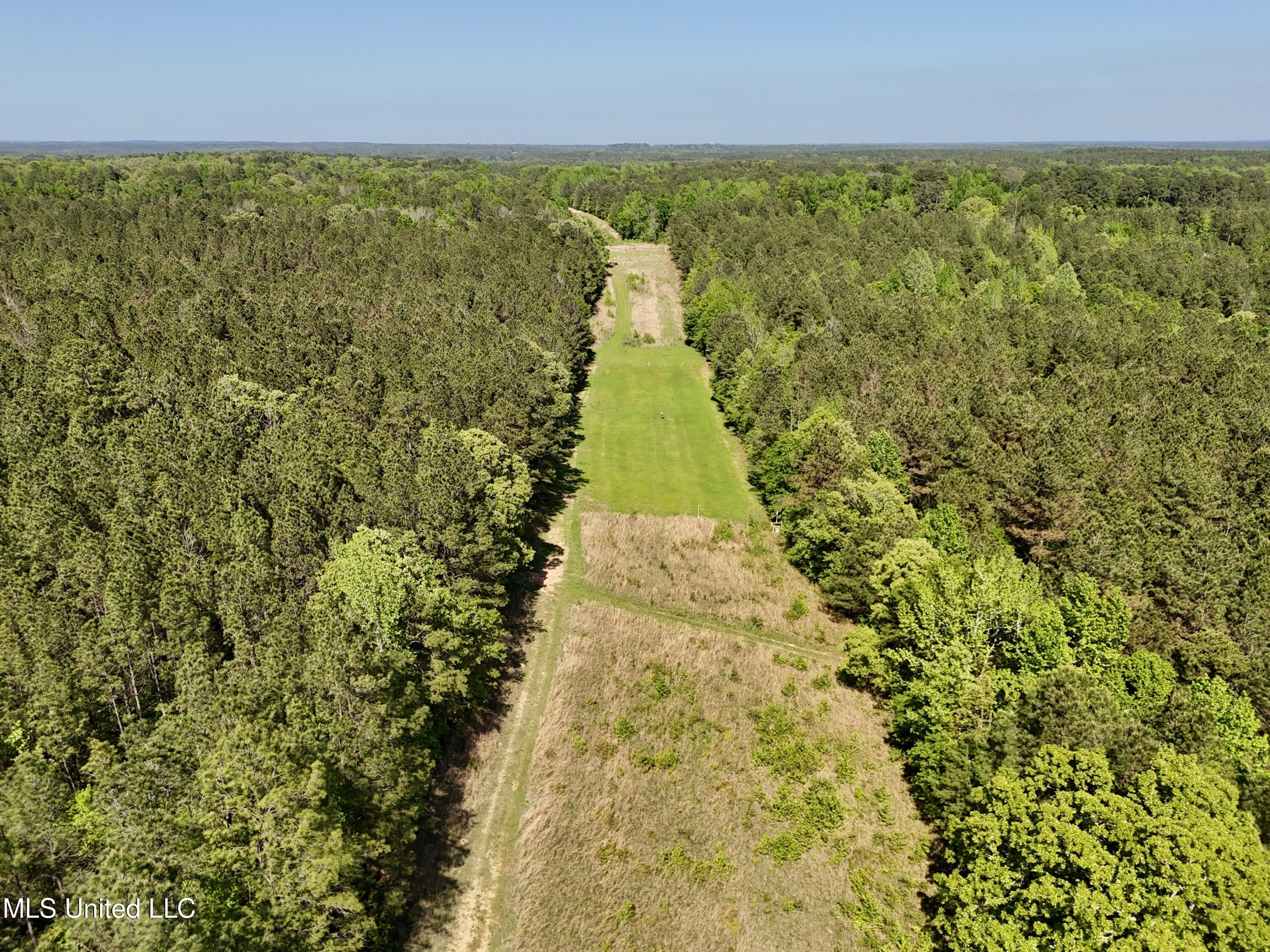 1131 Cauthen Road Camden, MS 39045 - Photo 40 of 53 71E0A2BA-A8E2-4A49-99A5-A763CBE947AB