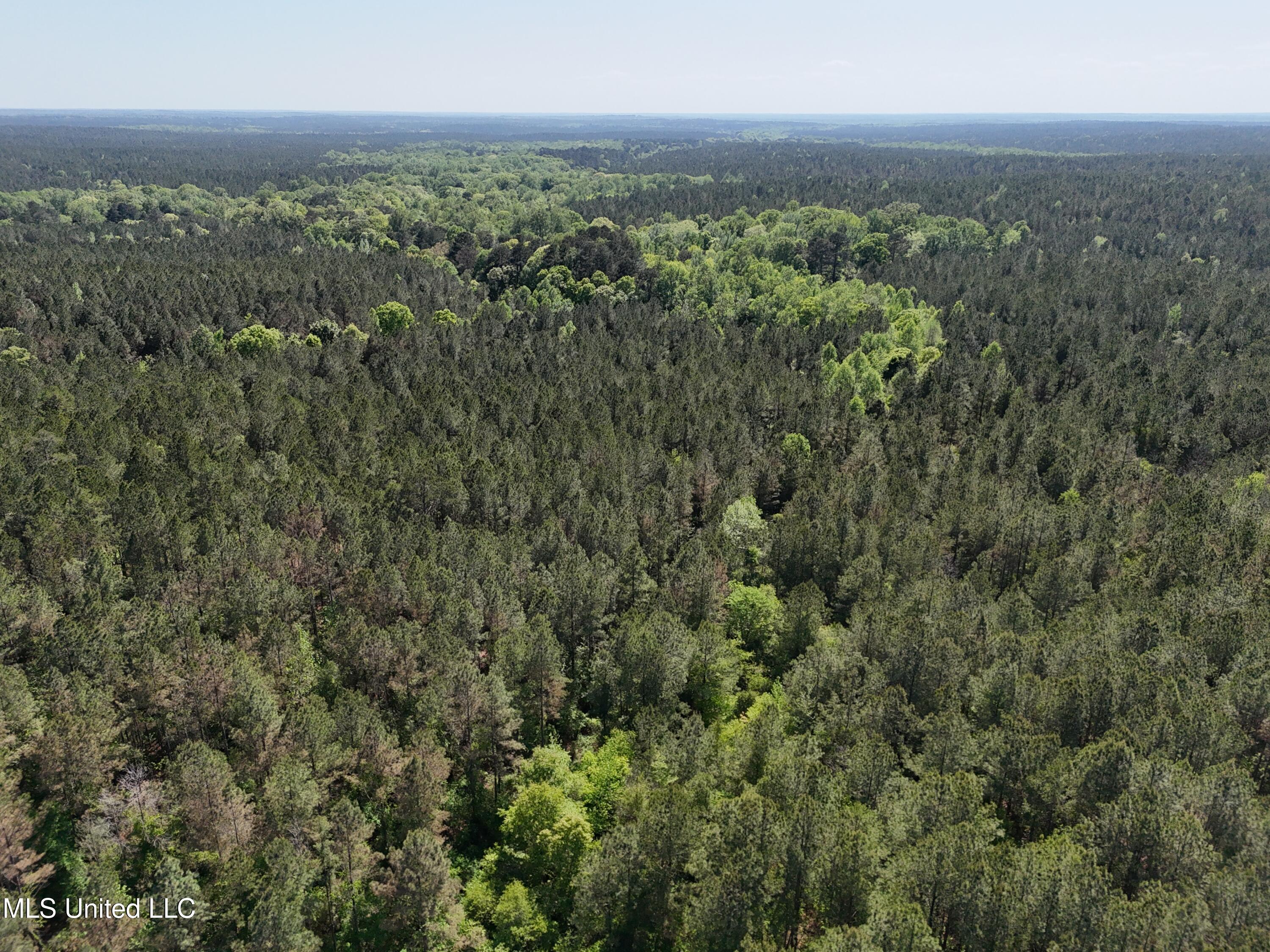 1131 Cauthen Road Camden, MS 39045 - Photo 4 of 53 499CBF09-1B3F-4542-A9BD-4AC1DD086350