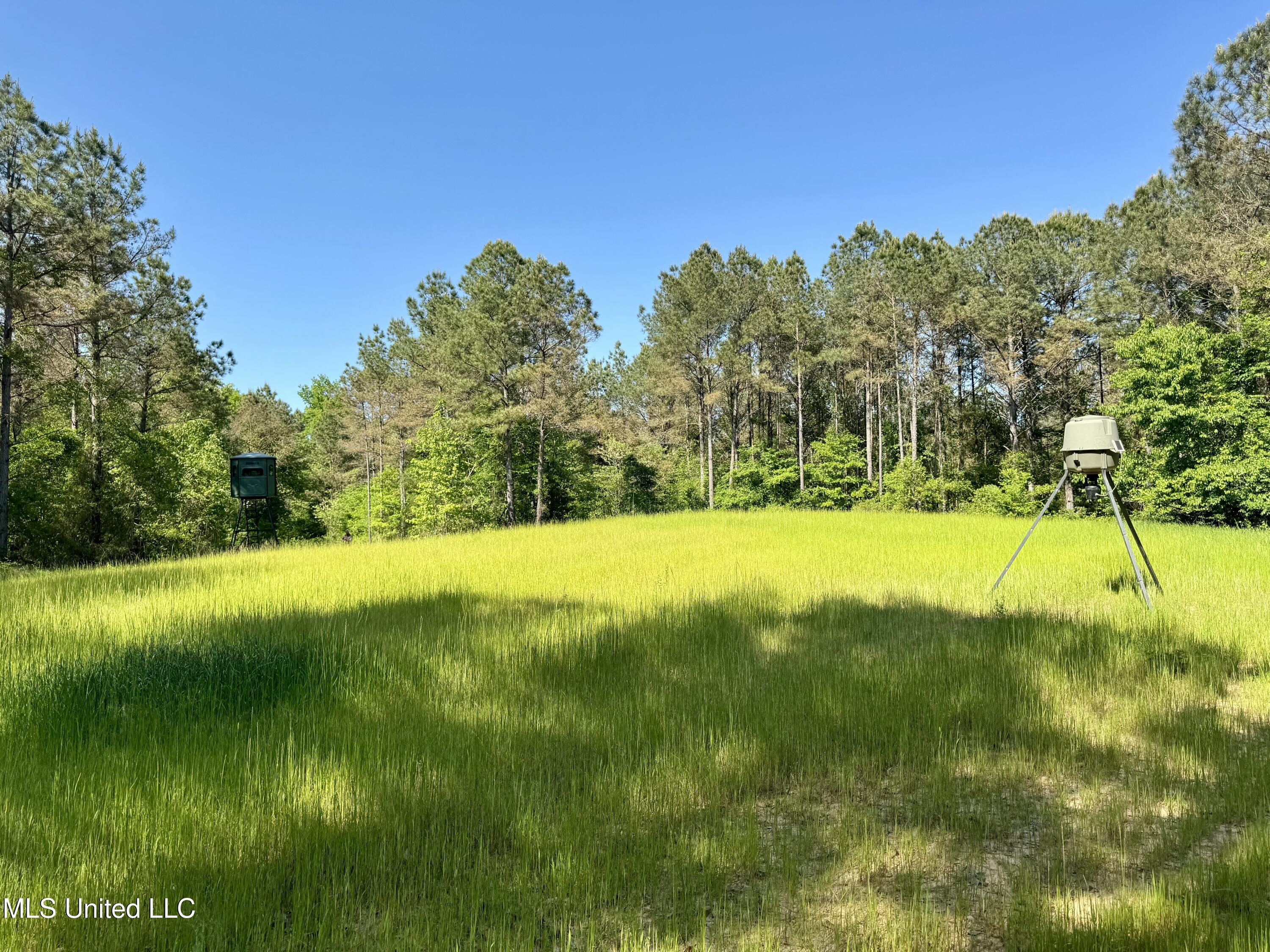 1131 Cauthen Road Camden, MS 39045 - Photo 43 of 53 FAA5F4AC-018B-480E-A868-855EC3B015B7