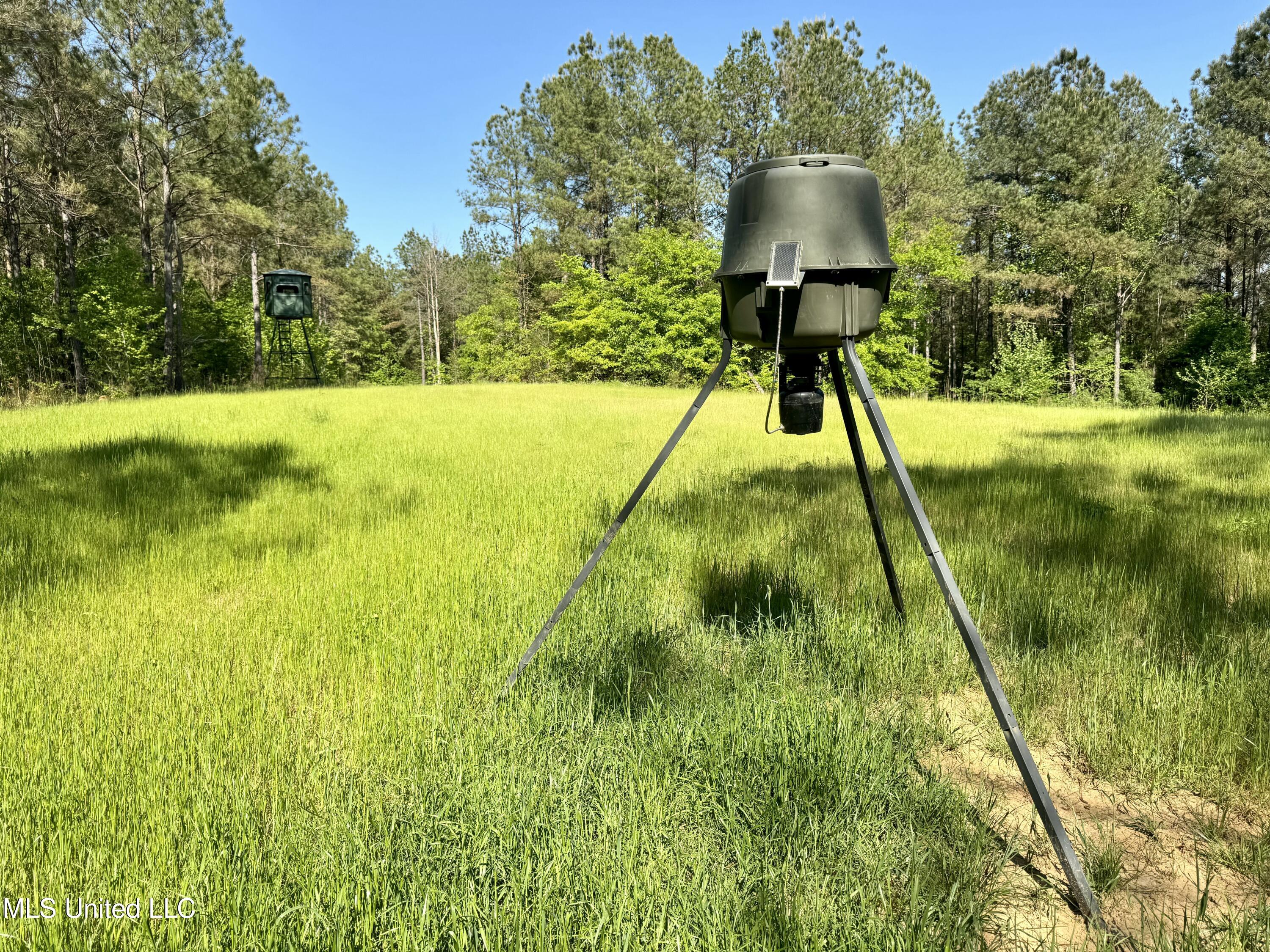 1131 Cauthen Road Camden, MS 39045 - Photo 47 of 53 A5D2EE26-0580-4E0B-B480-A0FCAB59B15E
