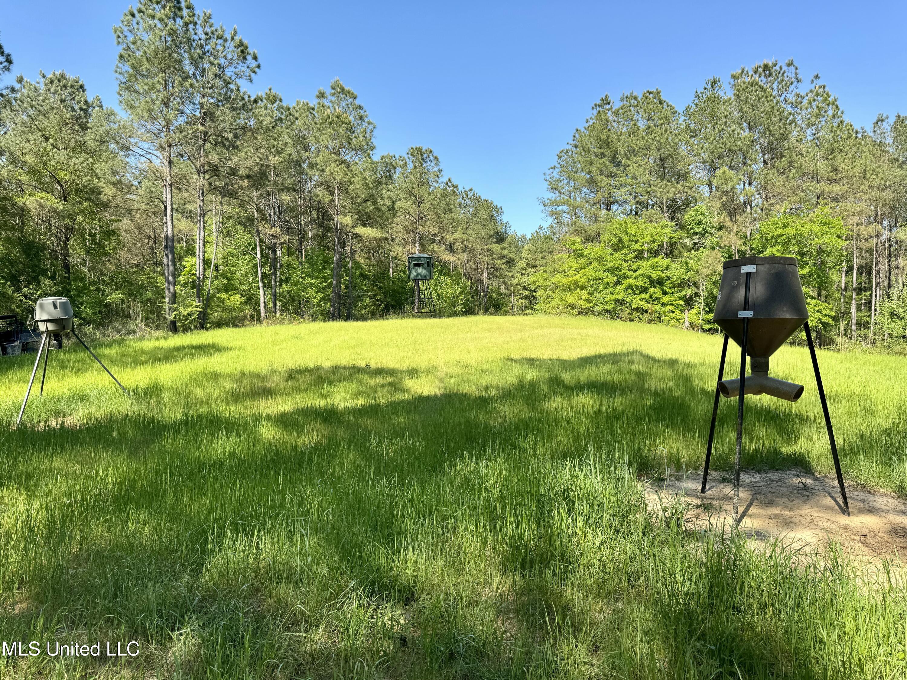 1131 Cauthen Road Camden, MS 39045 - Photo 48 of 53 C20A61BF-C611-4603-A13C-64A9B95FCECC
