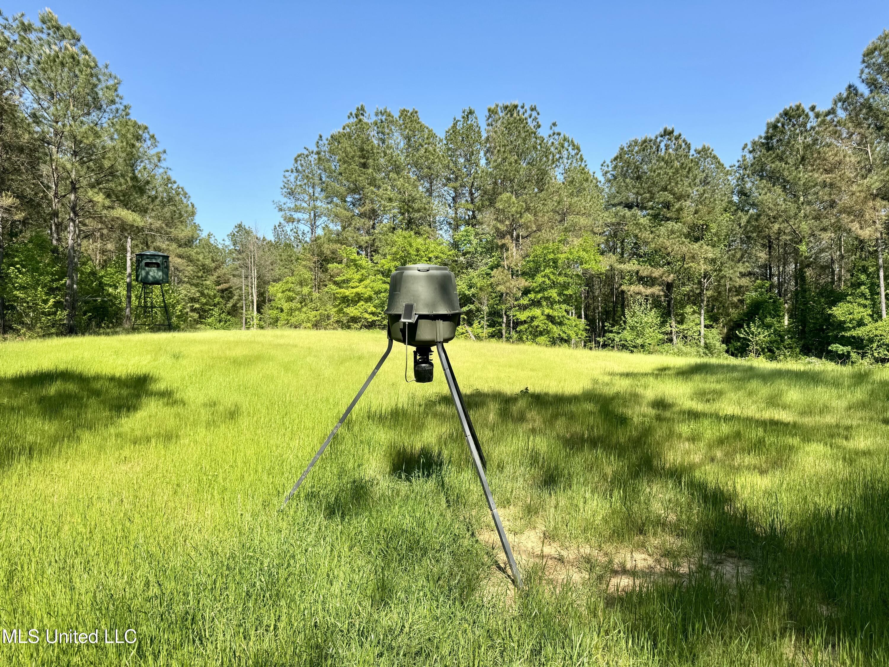 1131 Cauthen Road Camden, MS 39045 - Photo 49 of 53 C8B04BA0-5095-4631-AA34-C150FB647EBB