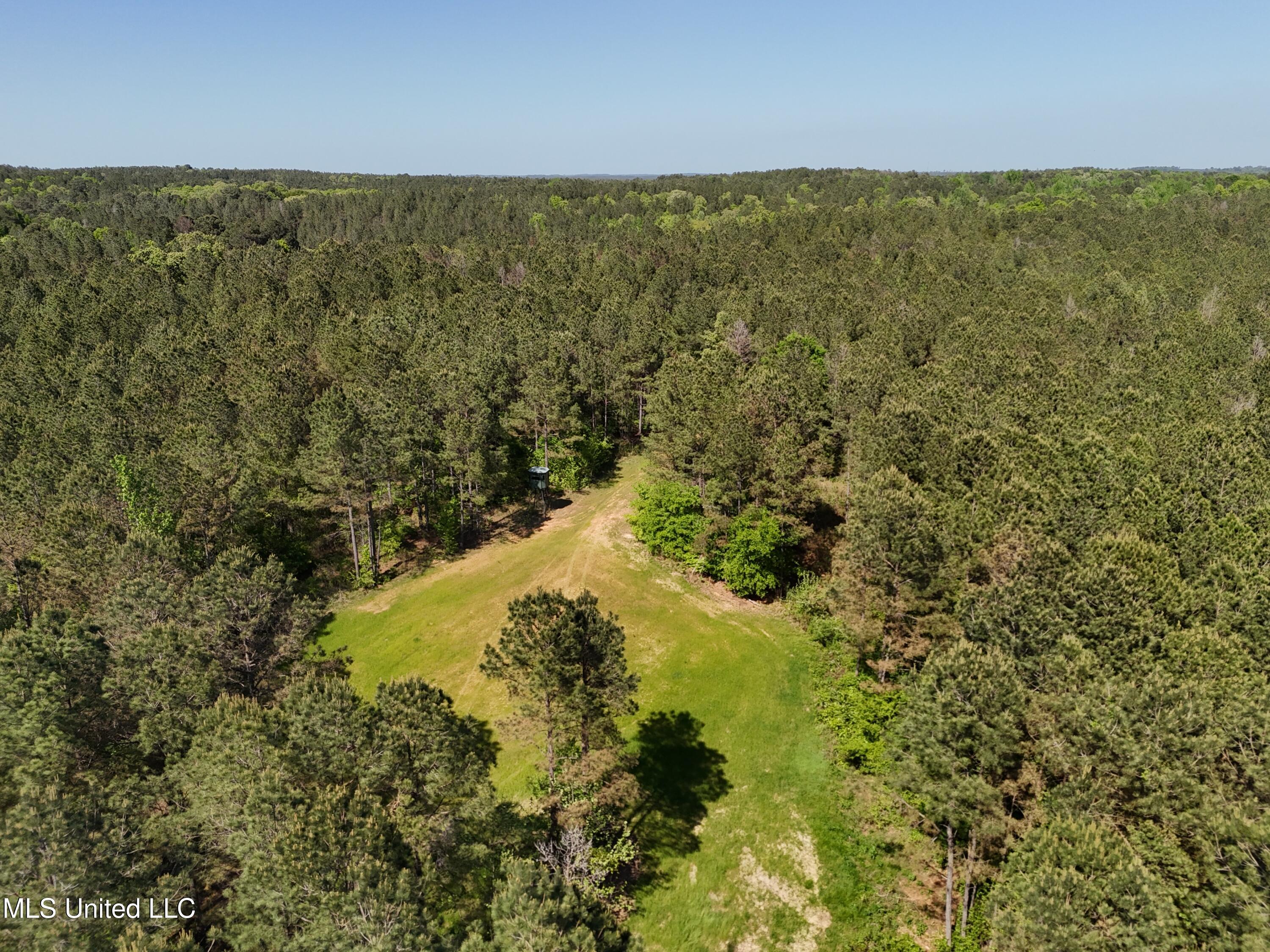 1131 Cauthen Road Camden, MS 39045 - Photo 51 of 53 32C251D9-737C-4A80-A1C3-FADC4367101E