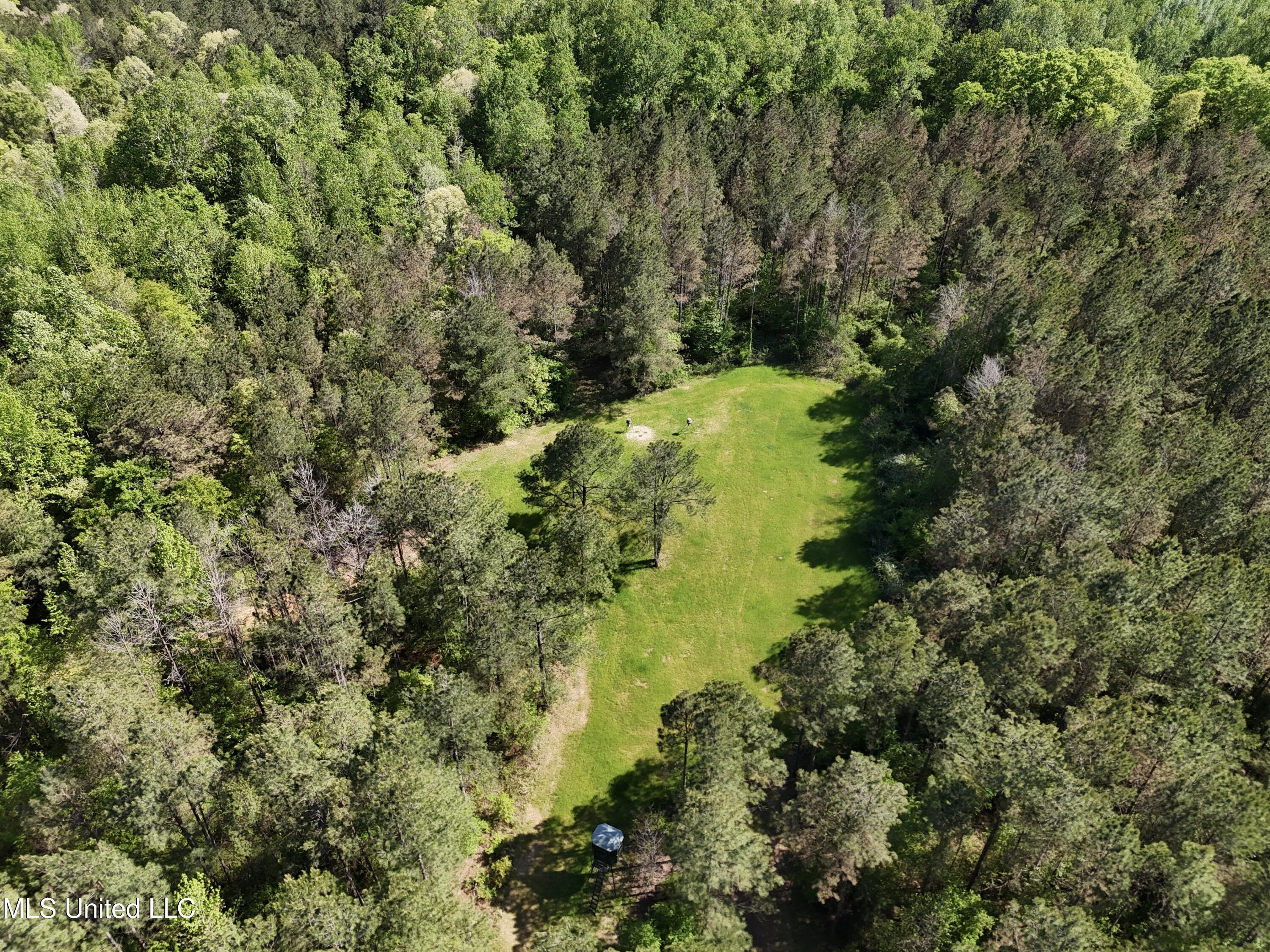 1131 Cauthen Road Camden, MS 39045 - Photo 52 of 53 D6763F79-04CD-411A-9AE0-B6CB04175917