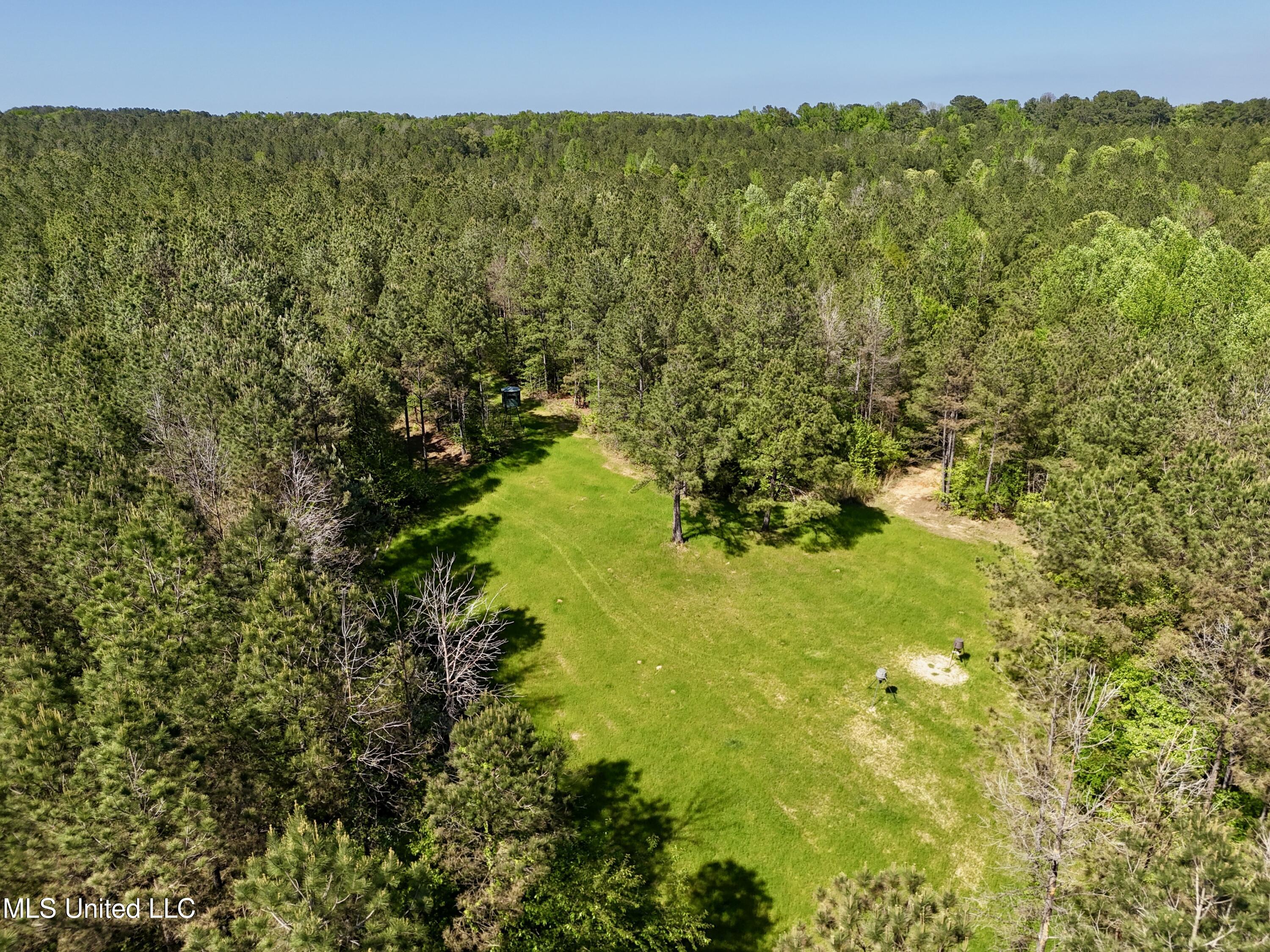 1131 Cauthen Road Camden, MS 39045 - Photo 53 of 53 E01EA835-73BD-4F70-8358-EE24302E02A4