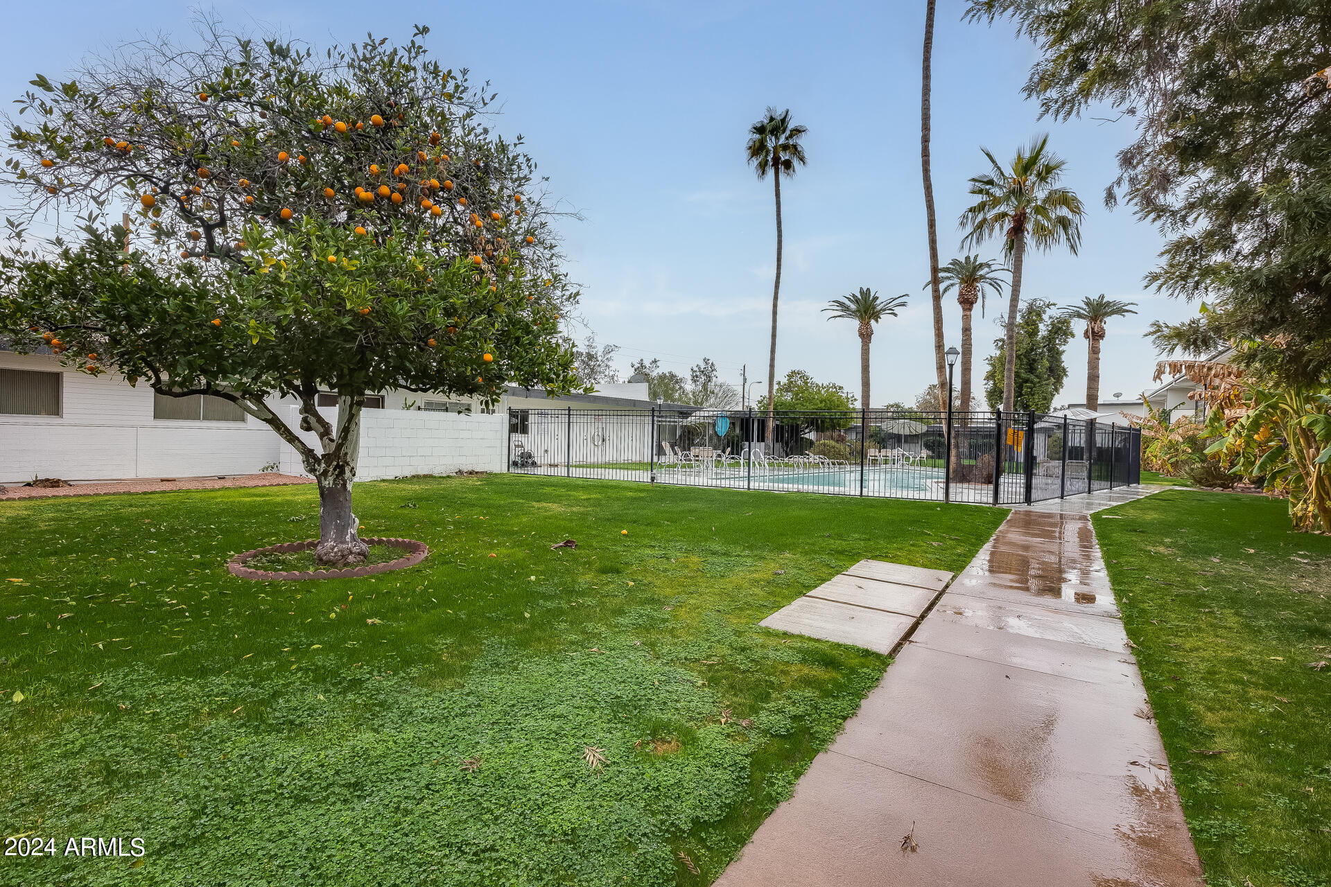 3242 East Camelback Road, Unit 106 Phoenix, AZ 85018 - Photo 27 of 52 32