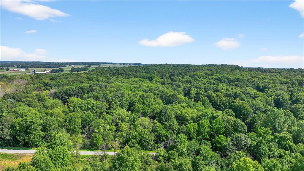 0 Vosler Road Volant, PA 16156 - Photo 8 of 11 a view of a large trees with lots of bushes