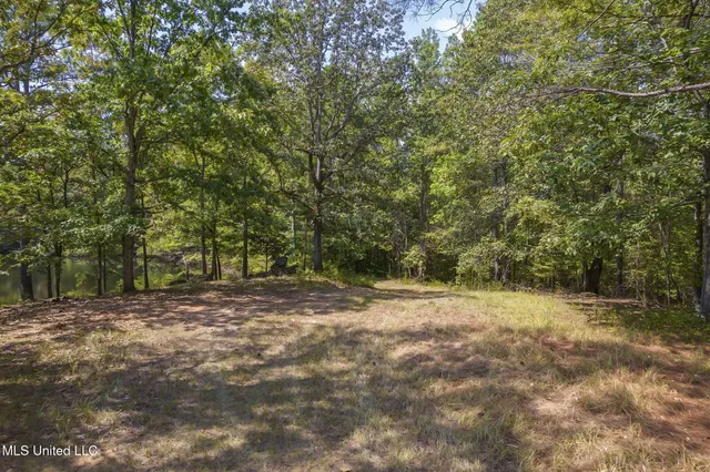 $850,000 | 875 McCravy Road, Hickory Flat, MS 38633