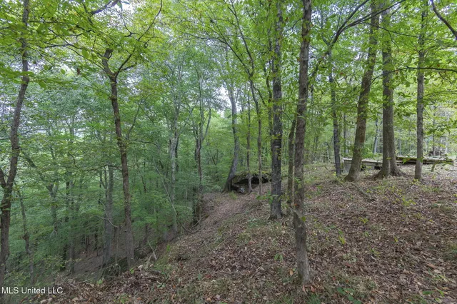 $850,000 | 875 McCravy Road, Hickory Flat, MS 38633