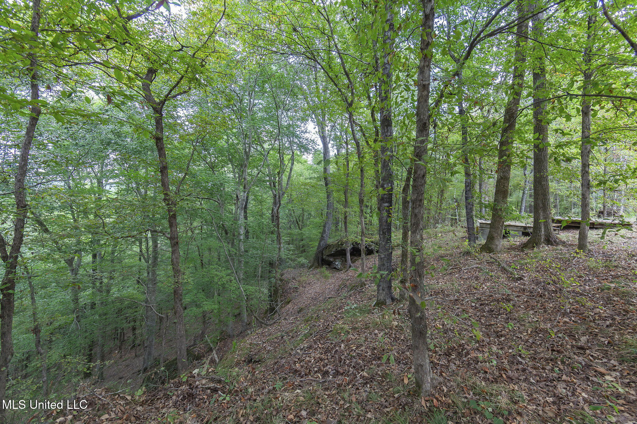 875 McCravy Road Hickory Flat, MS 38633 - Photo 103 of 113 Completed-55