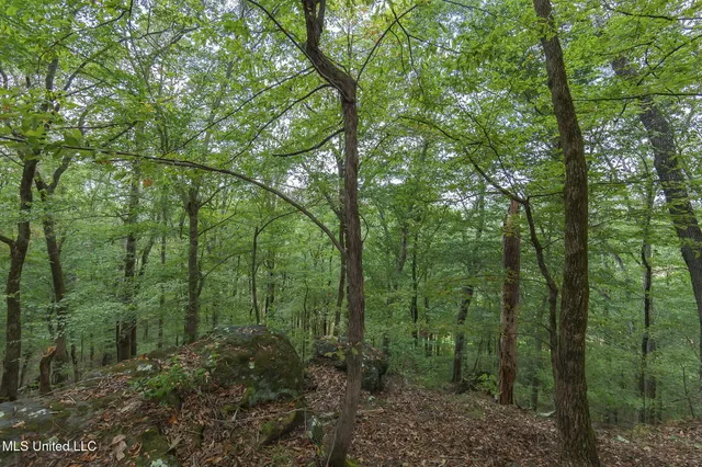 $850,000 | 875 McCravy Road, Hickory Flat, MS 38633