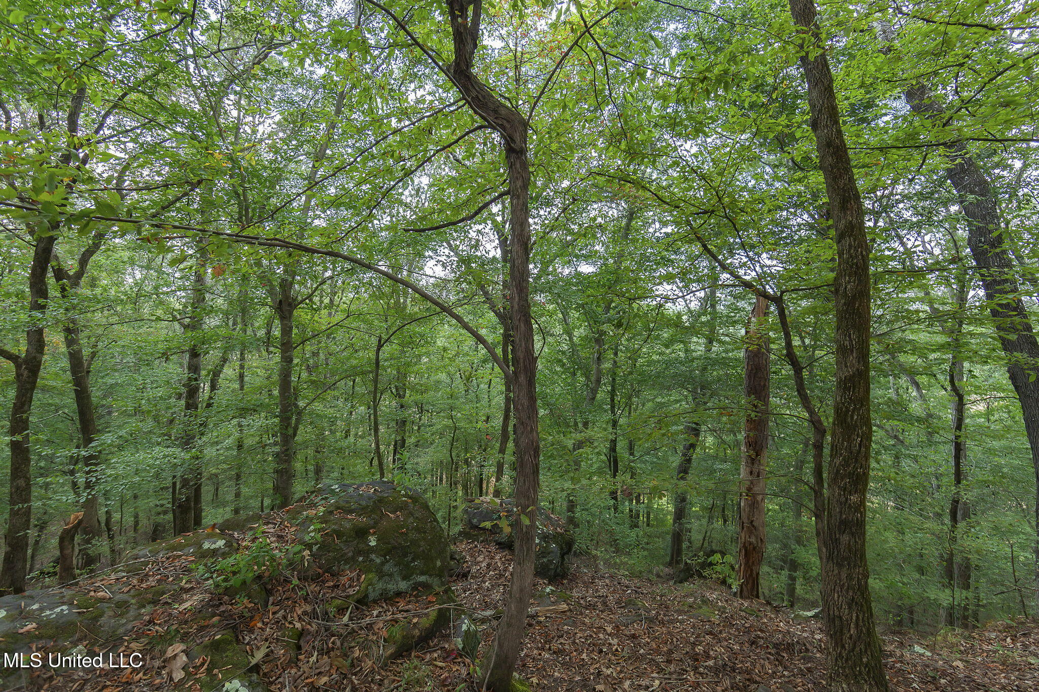 875 McCravy Road Hickory Flat, MS 38633 - Photo 104 of 113 Completed-56