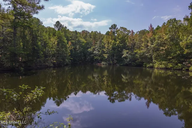 $850,000 | 875 McCravy Road, Hickory Flat, MS 38633