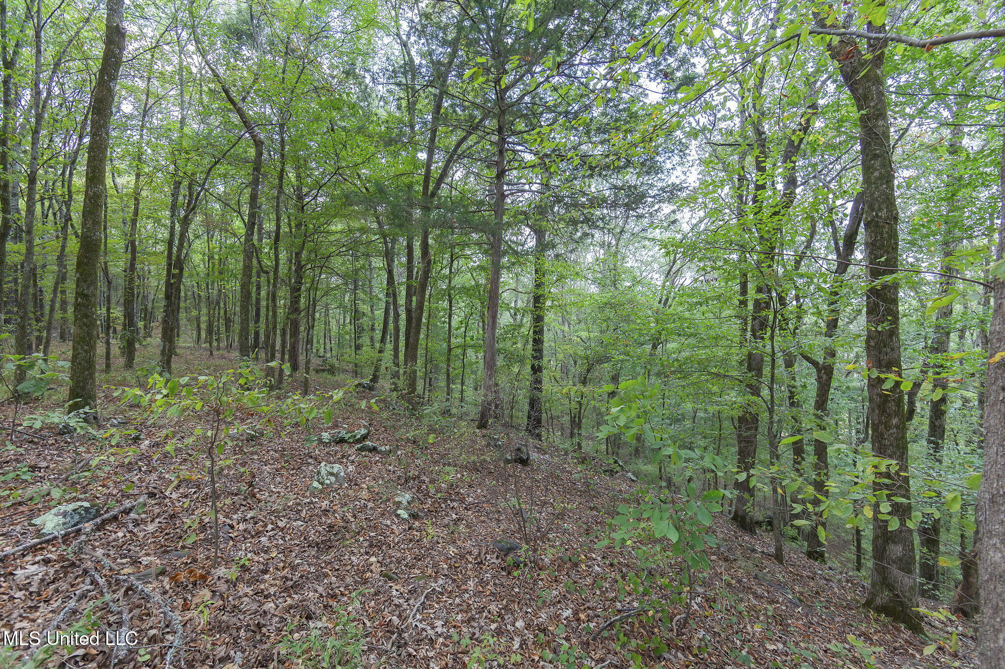 875 McCravy Road Hickory Flat, MS 38633 - Photo 106 of 113 Completed-57