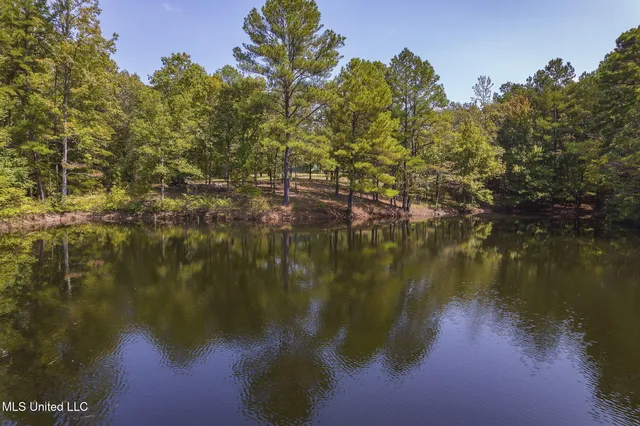$850,000 | 875 McCravy Road, Hickory Flat, MS 38633