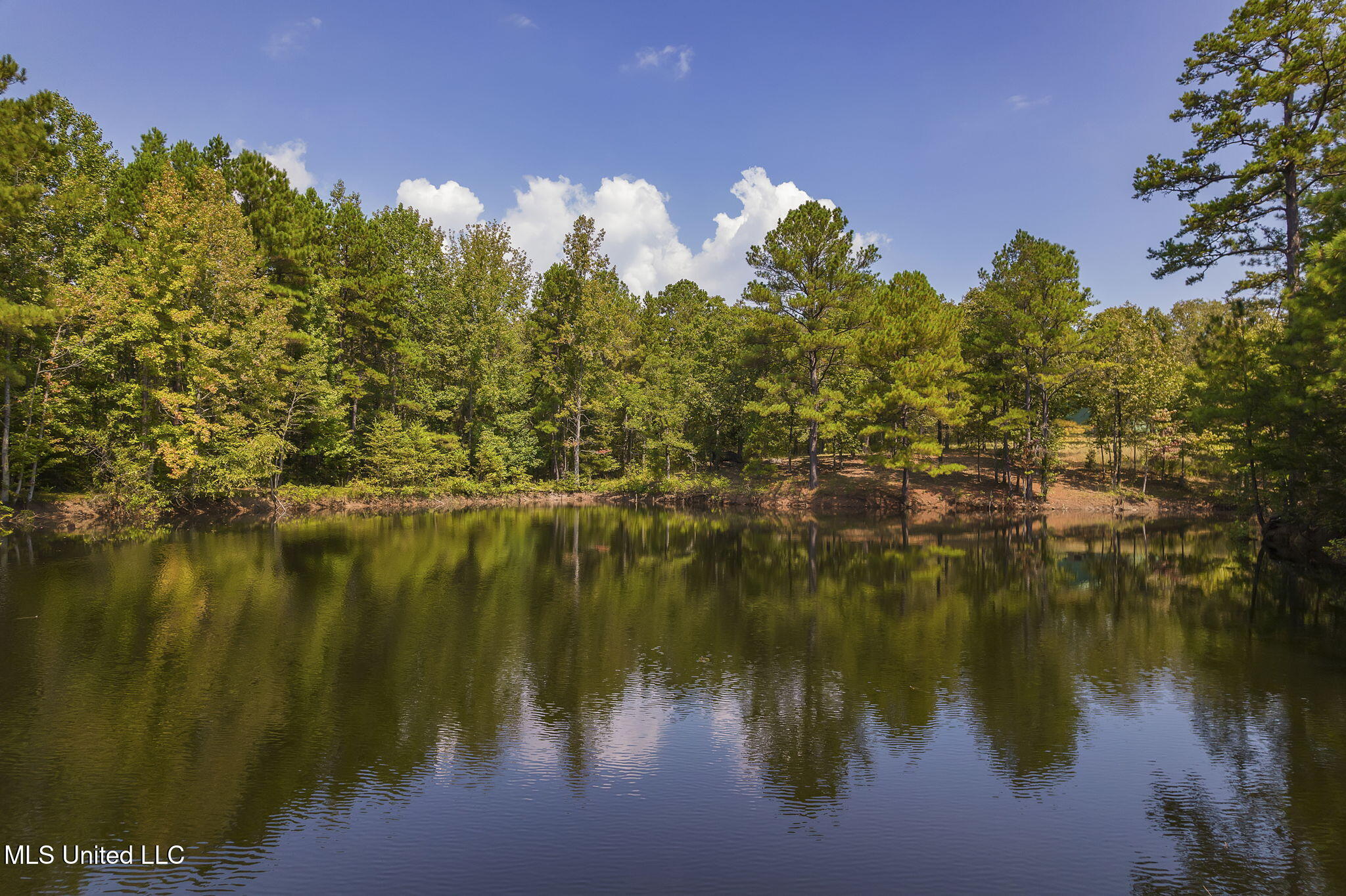 875 McCravy Road Hickory Flat, MS 38633 - Photo 109 of 113 Completed-59