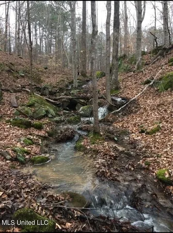 $850,000 | 875 McCravy Road, Hickory Flat, MS 38633