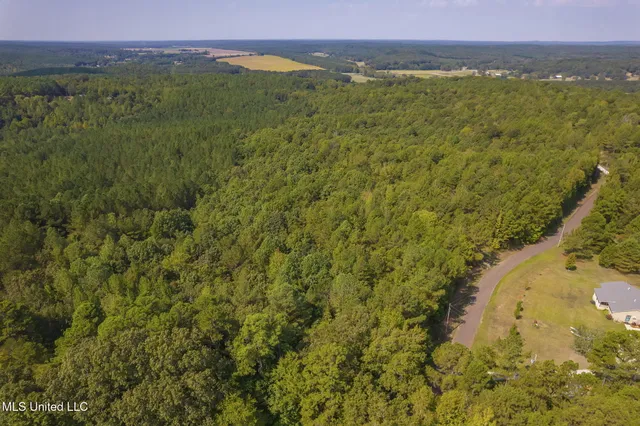 $850,000 | 875 McCravy Road, Hickory Flat, MS 38633