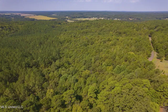 $850,000 | 875 McCravy Road, Hickory Flat, MS 38633