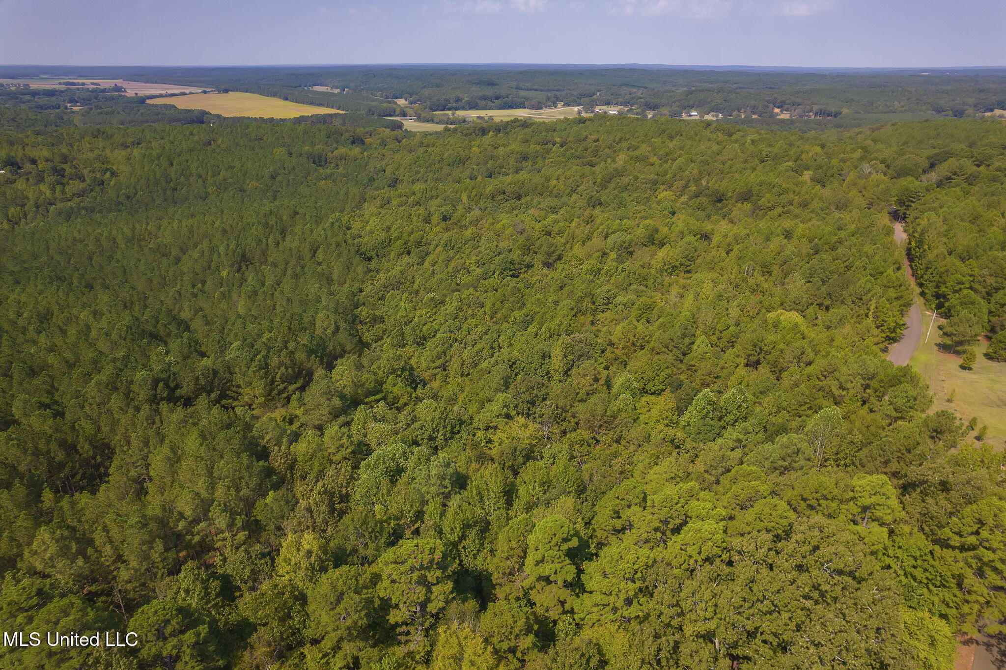 875 McCravy Road Hickory Flat, MS 38633 - Photo 57 of 113 Completed-3 (2)