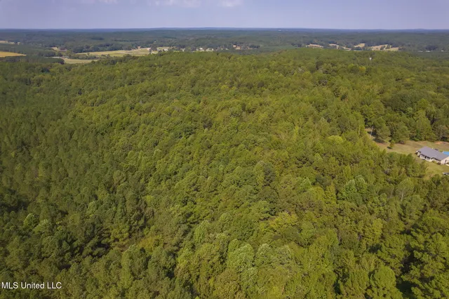 $850,000 | 875 McCravy Road, Hickory Flat, MS 38633