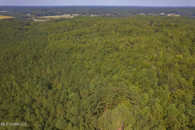 $850,000 | 875 McCravy Road, Hickory Flat, MS 38633