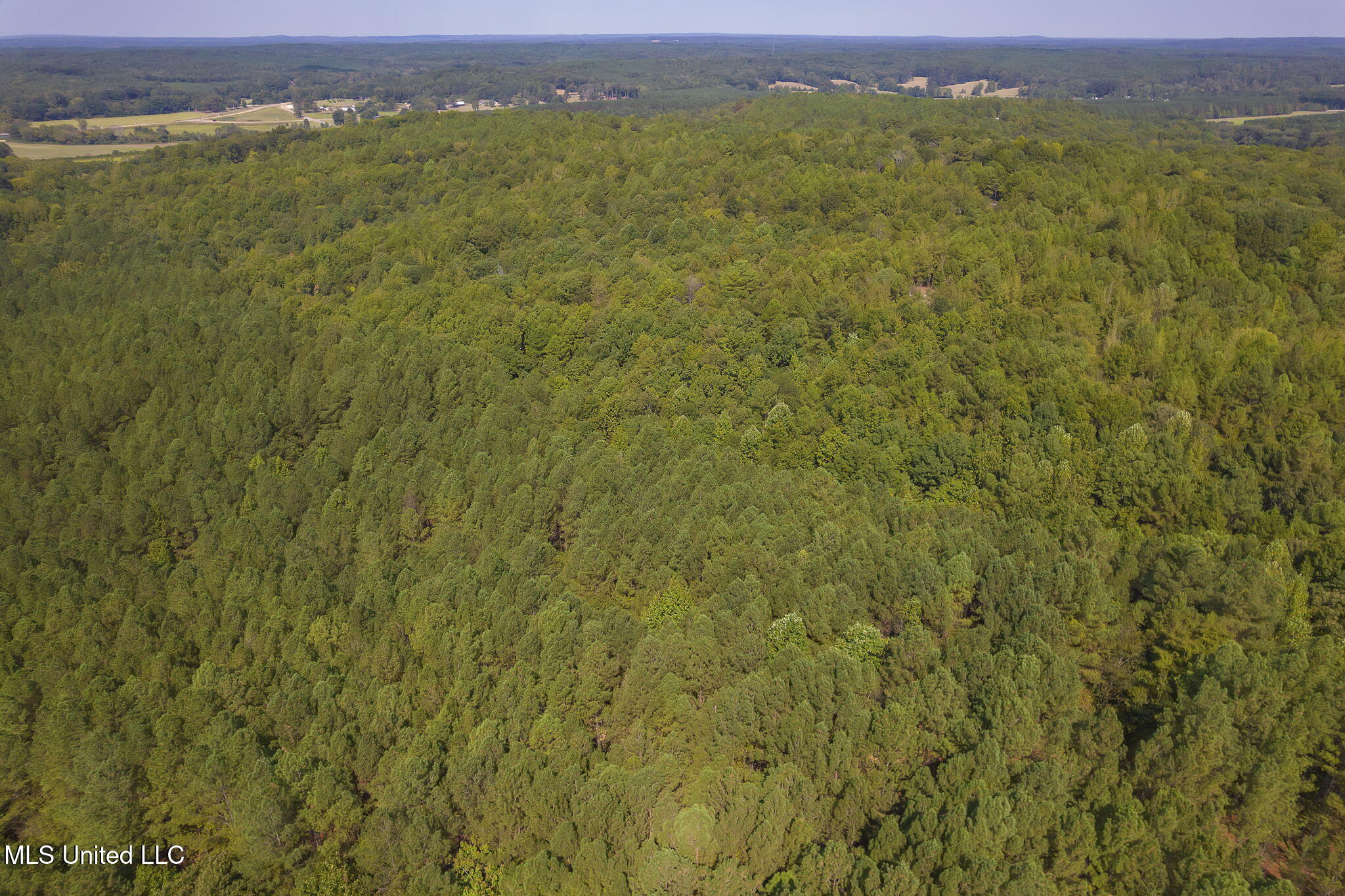 875 McCravy Road Hickory Flat, MS 38633 - Photo 60 of 113 Completed-6 (2)