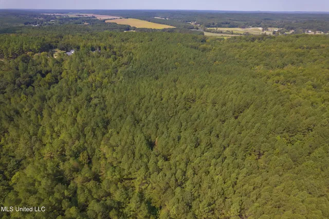 $850,000 | 875 McCravy Road, Hickory Flat, MS 38633