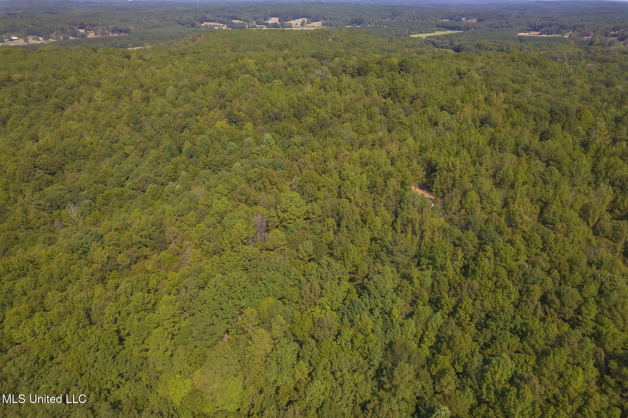 875 McCravy Road Hickory Flat, MS 38633 - Photo 62 of 113 Completed-8 (2)