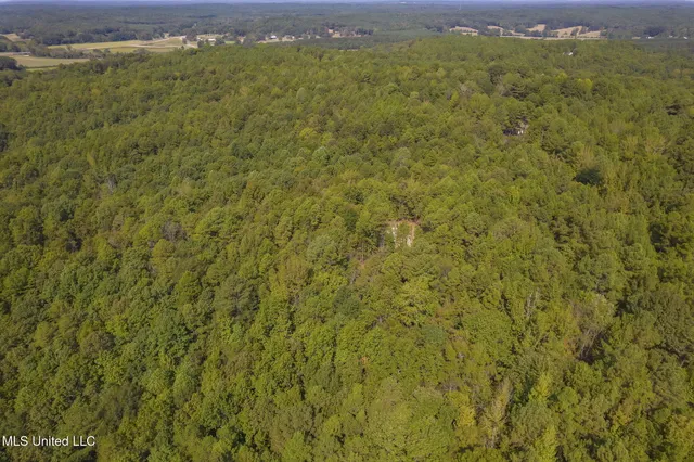 $850,000 | 875 McCravy Road, Hickory Flat, MS 38633