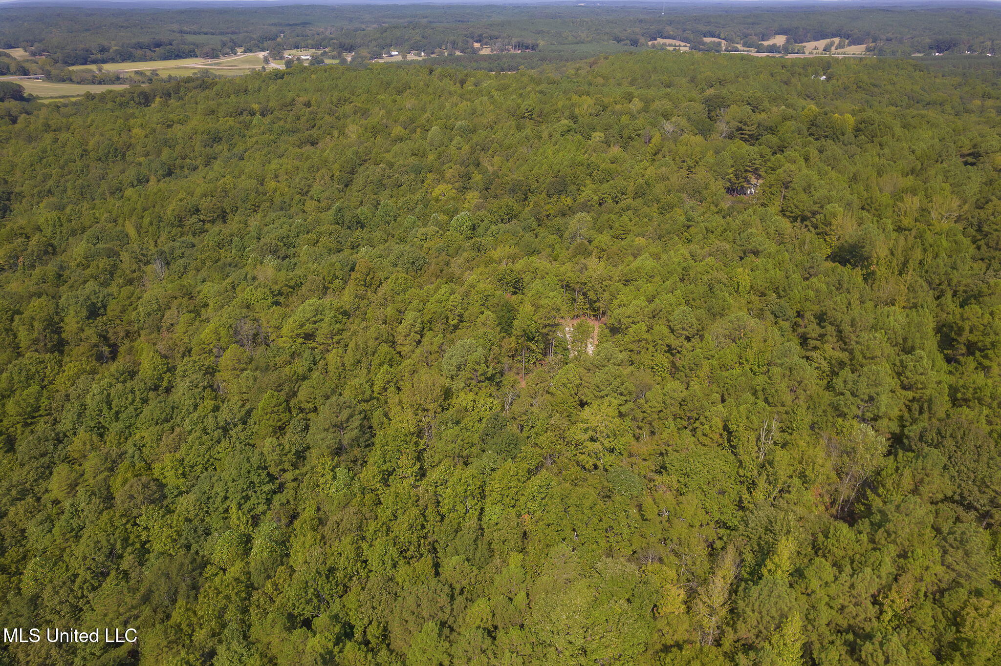 875 McCravy Road Hickory Flat, MS 38633 - Photo 63 of 113 Completed-9 (2)