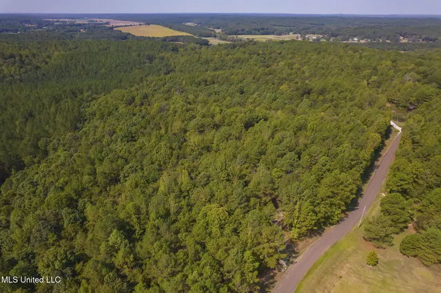 $850,000 | 875 McCravy Road, Hickory Flat, MS 38633