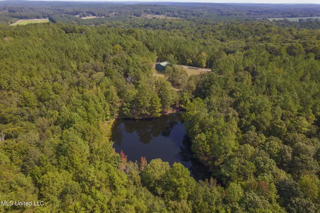$850,000 | 875 McCravy Road, Hickory Flat, MS 38633