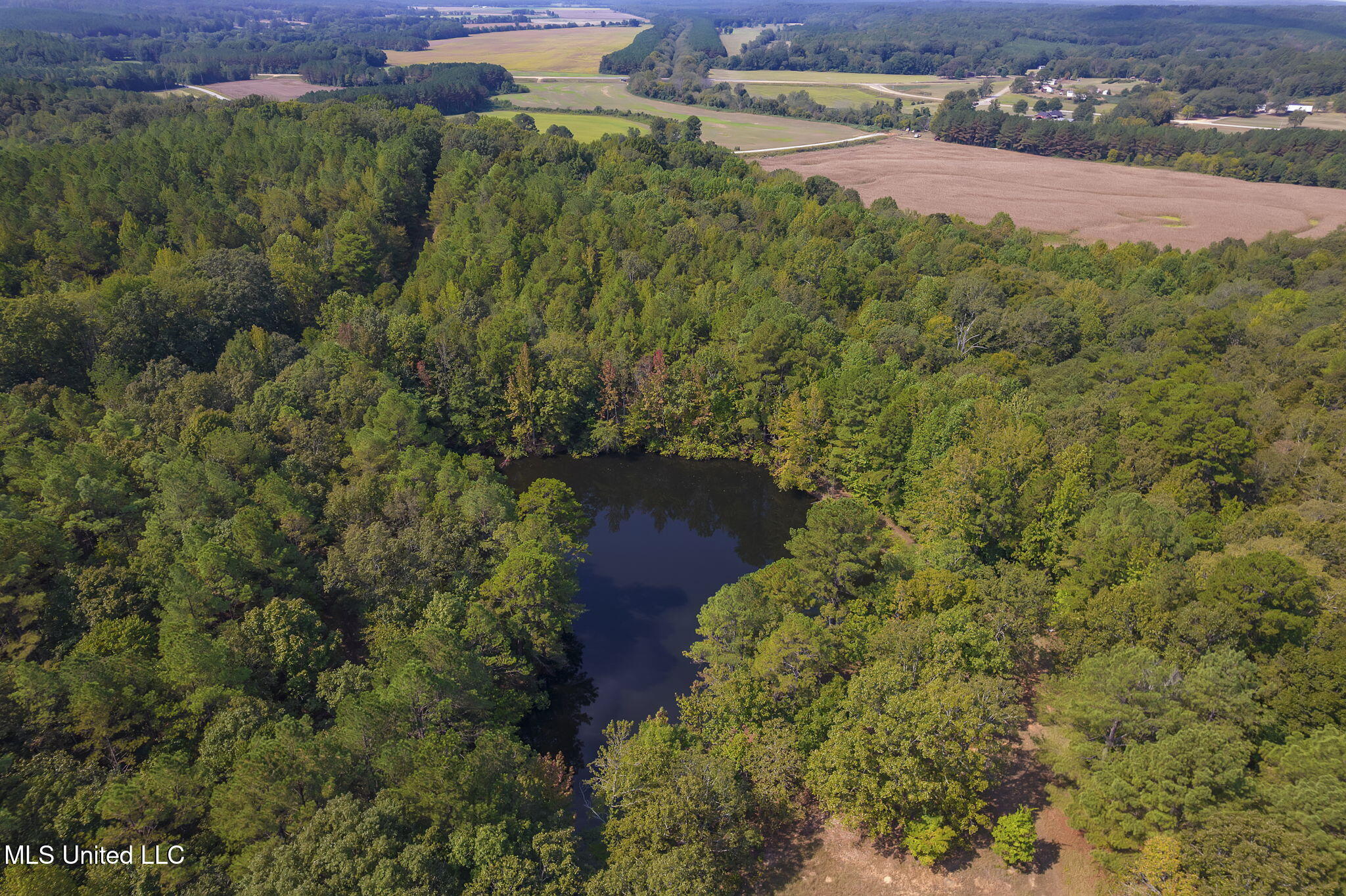 875 McCravy Road Hickory Flat, MS 38633 - Photo 66 of 113 Completed-13 (2)