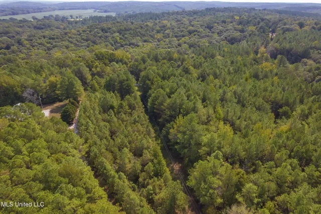 $850,000 | 875 McCravy Road, Hickory Flat, MS 38633