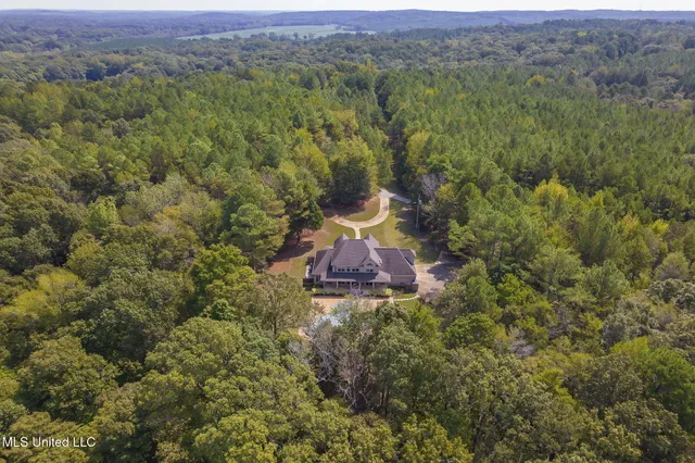 $850,000 | 875 McCravy Road, Hickory Flat, MS 38633