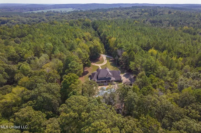 $850,000 | 875 McCravy Road, Hickory Flat, MS 38633